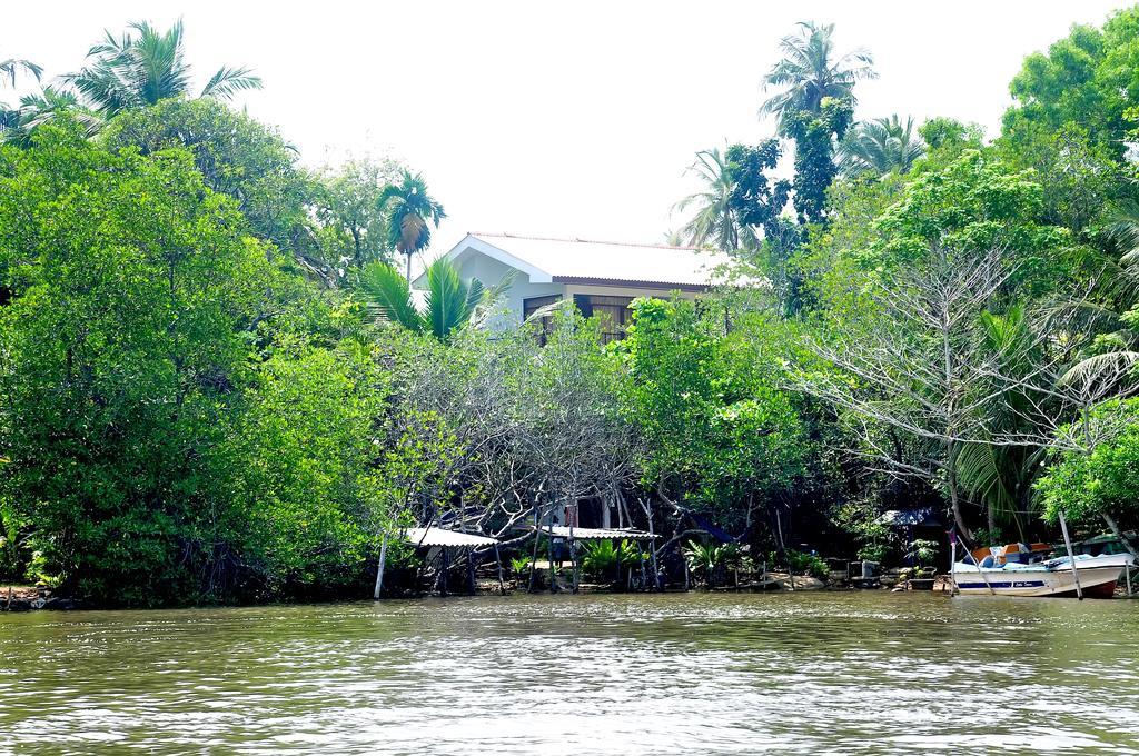 Little Swan Guest House Bentota Luaran gambar